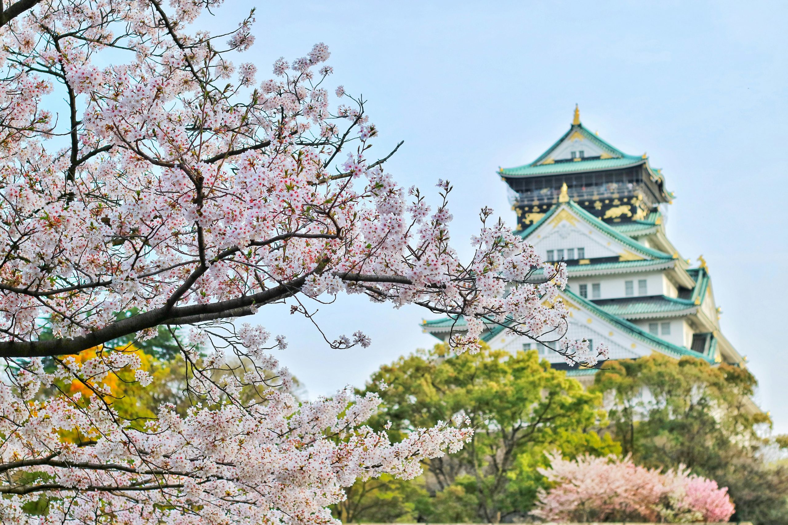 大阪のパティシエの年収はどれくらい？気になる給料（月給・時給）から求人、生活情報まで徹底解説