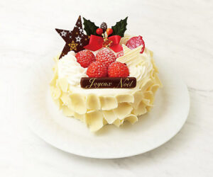 ノエルネージュ４号