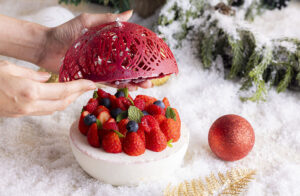 クリスマス・スノードーム ベリー