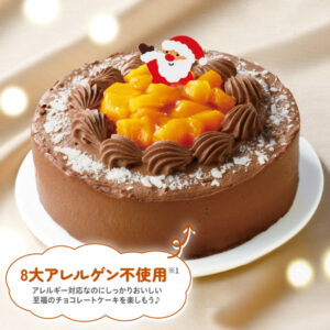 8大アレルゲン不使用 米粉と豆乳 乳不使用チョコレートケーキ