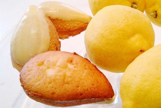 ｍamenoki まめの木 Mamenoki マメノキ パティシエの正社員募集 大阪府堺市中区 パティシエント